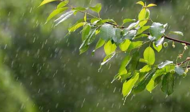 Днес през страната ще премине студен атмосферен фронт Още преди